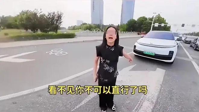 司机气到流产公布完整行车记录仪河北女司机与骑手冲突后续：女(图13)